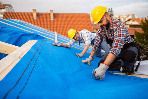 Fast & Reliable Emergency Roof Repairs in Shorewood, MN